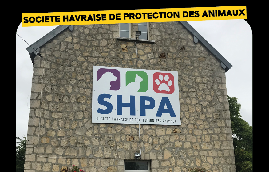 Animaux Société Havraise de Protection des Animaux Ouest Track Radio Animaux Société Havraise de Protection des Animaux Ouest Track Radio